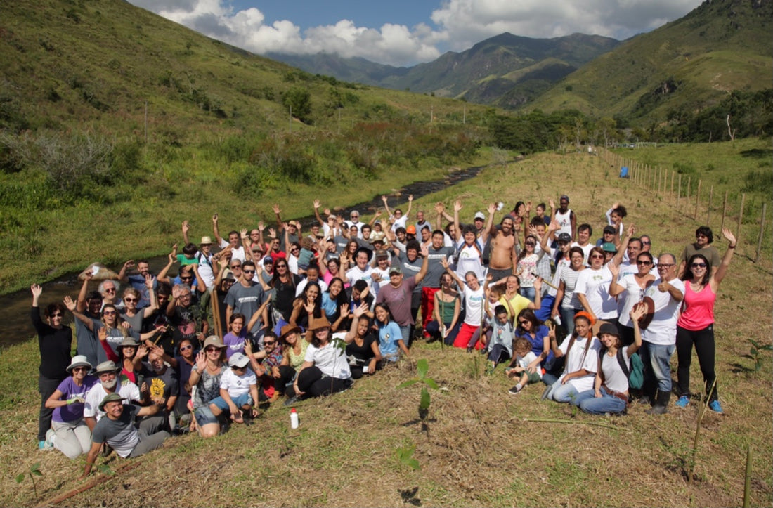 We plant 1 tree for every product sold