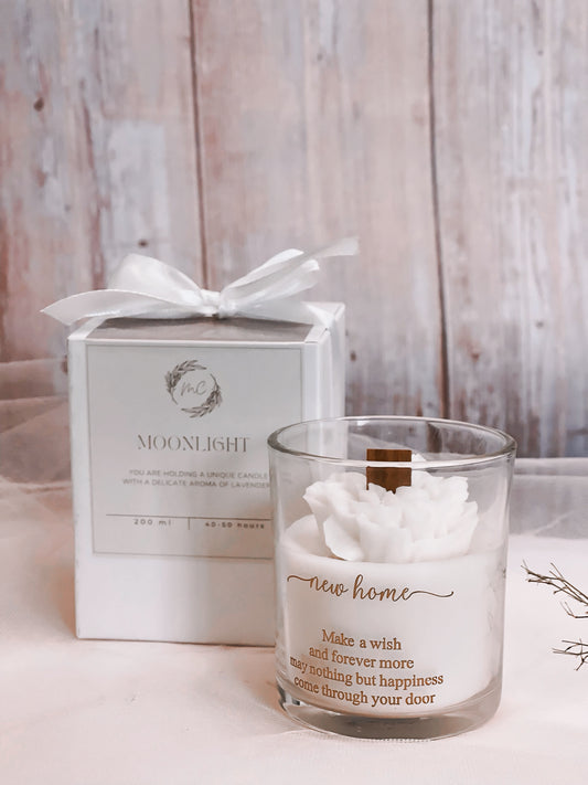 Enchanted White Rose