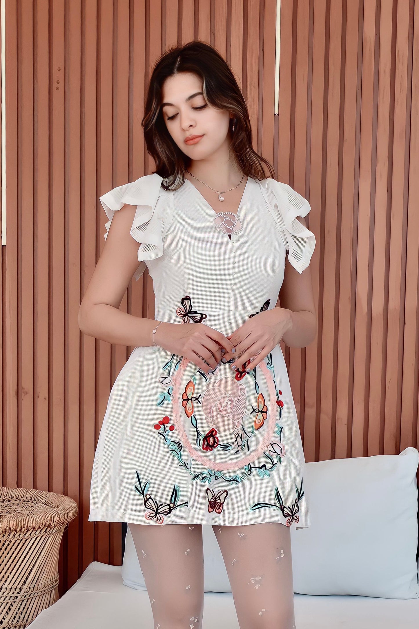 Elegant Embroidery Dress
